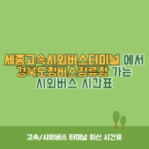 세종고속시외버스터미널에서 경북도청버스정류장 가는 시외버스 시간표 최신정보