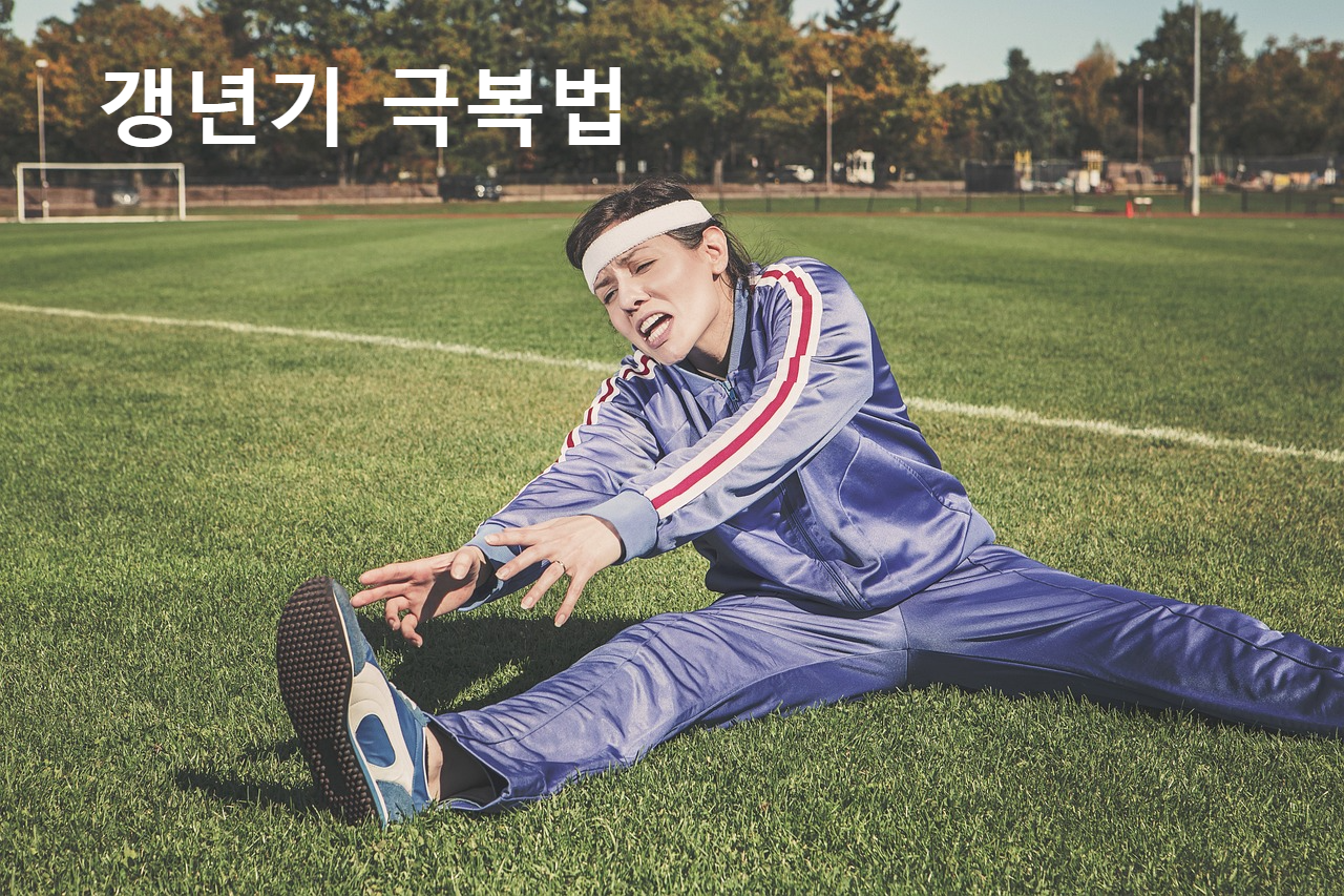 갱년기 극복법