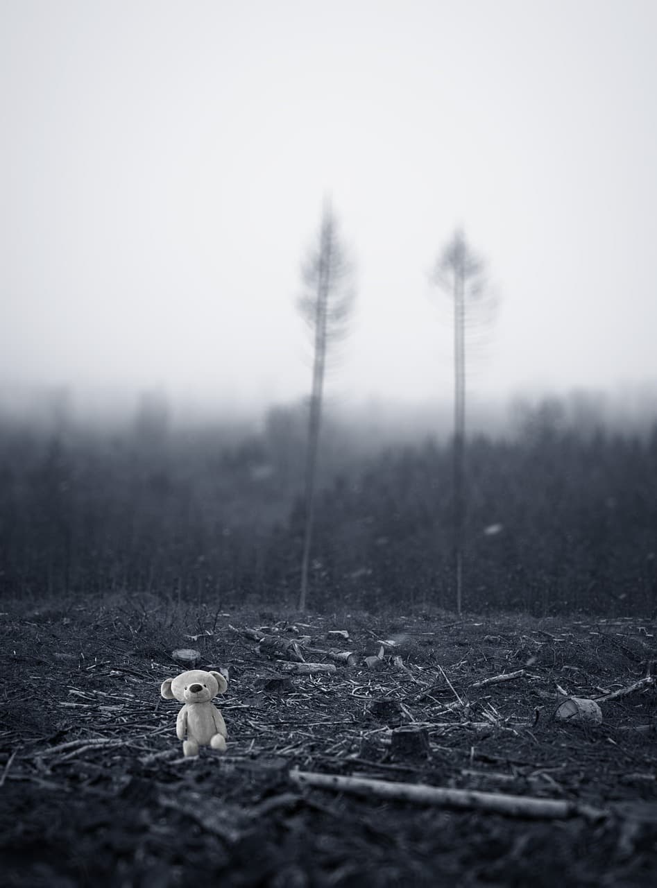 친환경 장바구니부터 시작하는 플라스틱 프리 쇼핑 팁