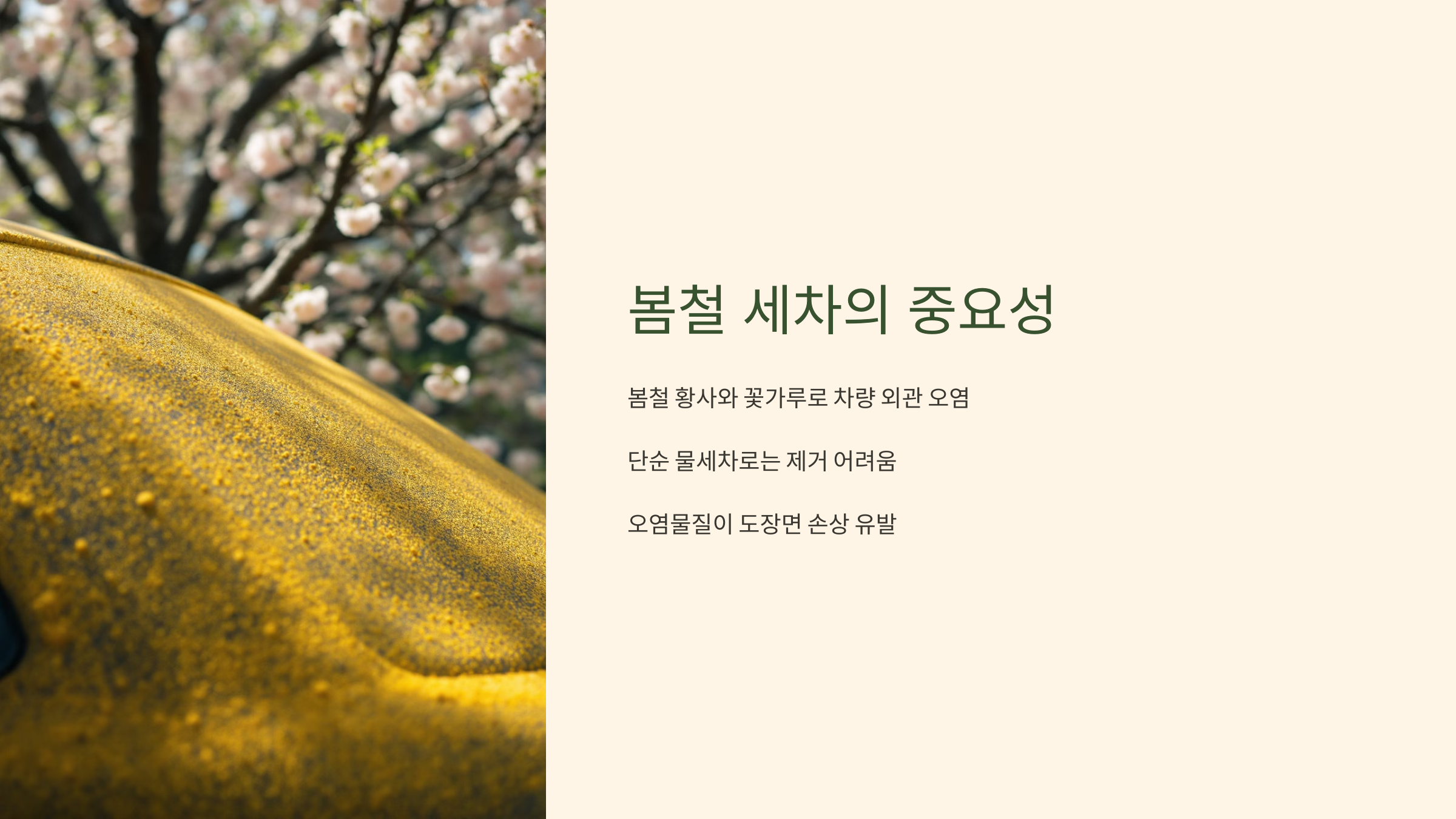 세차의 중요성