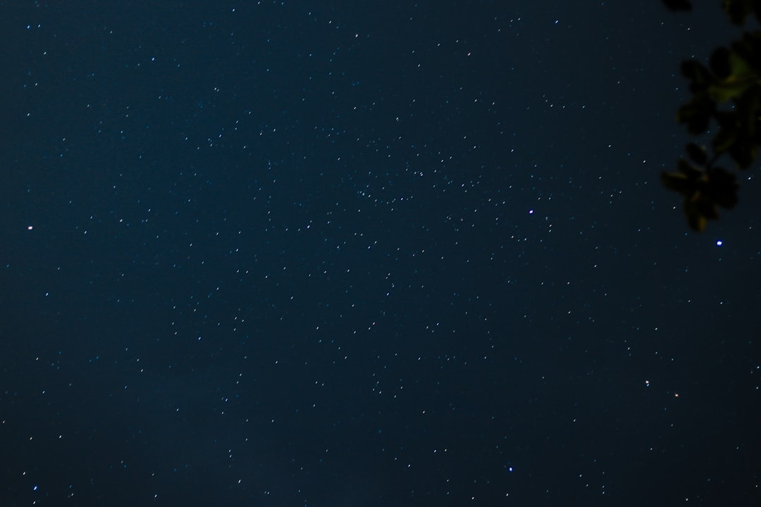 제목 없음 관련 이미지 2