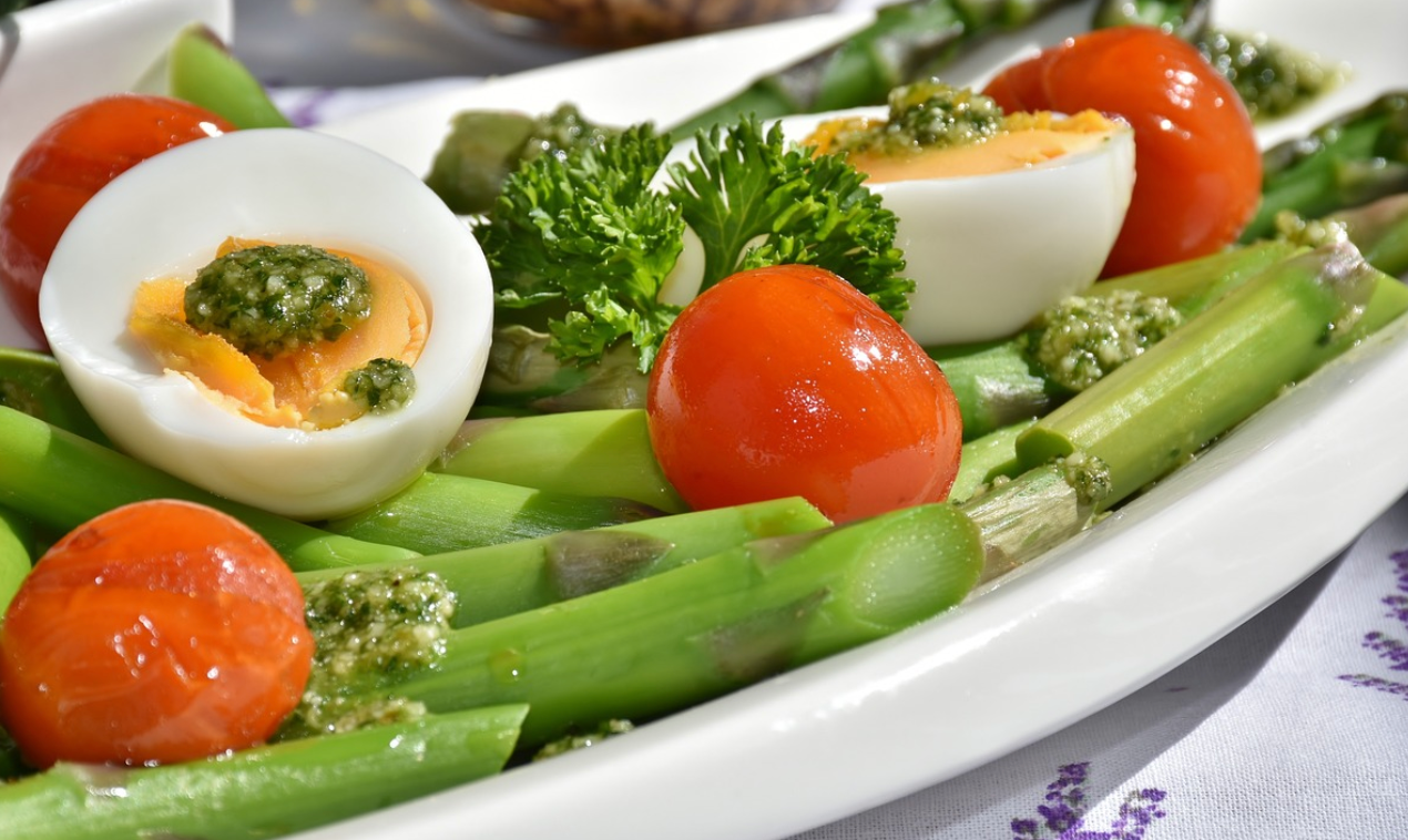 다이어트-지방-탄수화물-식사제한