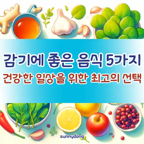 감기에 좋은 음식 5가지 건강한 일상을 위한 최고의 선택