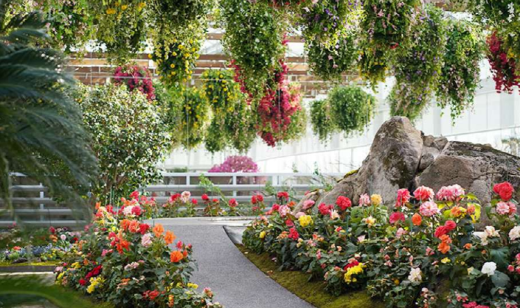 가평 베고니아 새정원