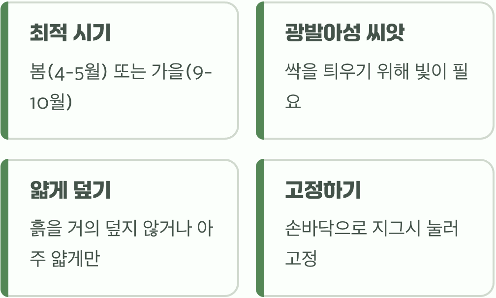 솜털 씨앗&amp;#44; 희망을 심는 비밀