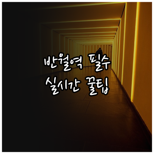 4호선 반월역 실시간 시간표와 출입구..