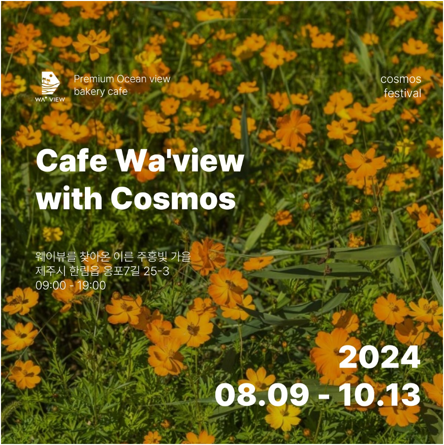 제주도 코스모스 웨이뷰 카페 축제