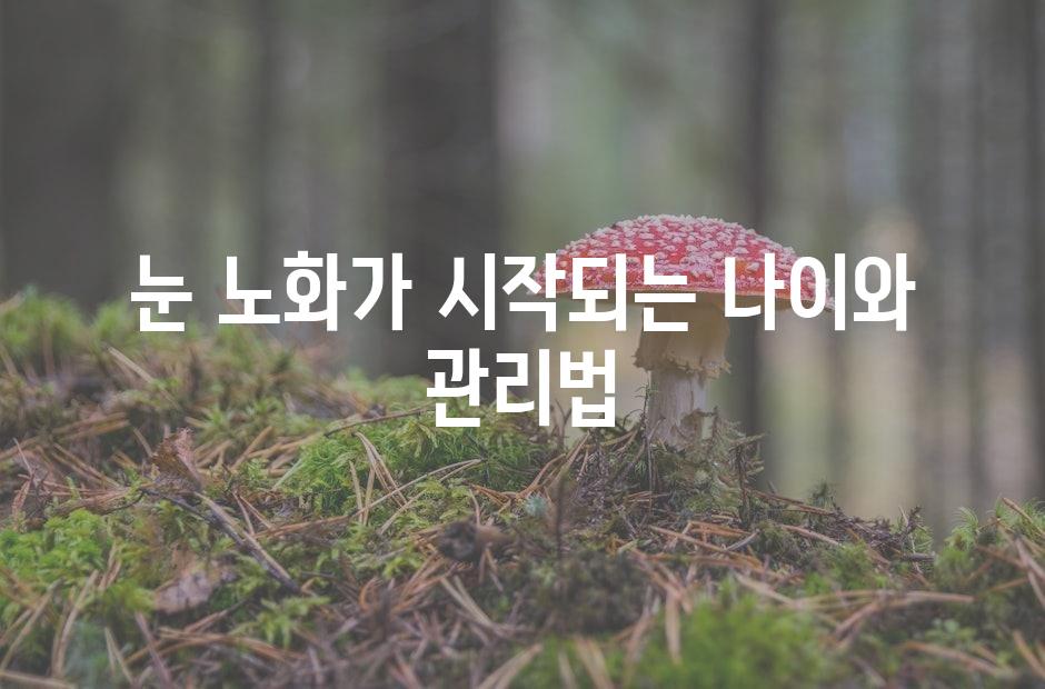 샘플 (42)