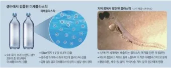 뇌를 잠식하는 미세 플라스틱 보이지 않는 위협_27