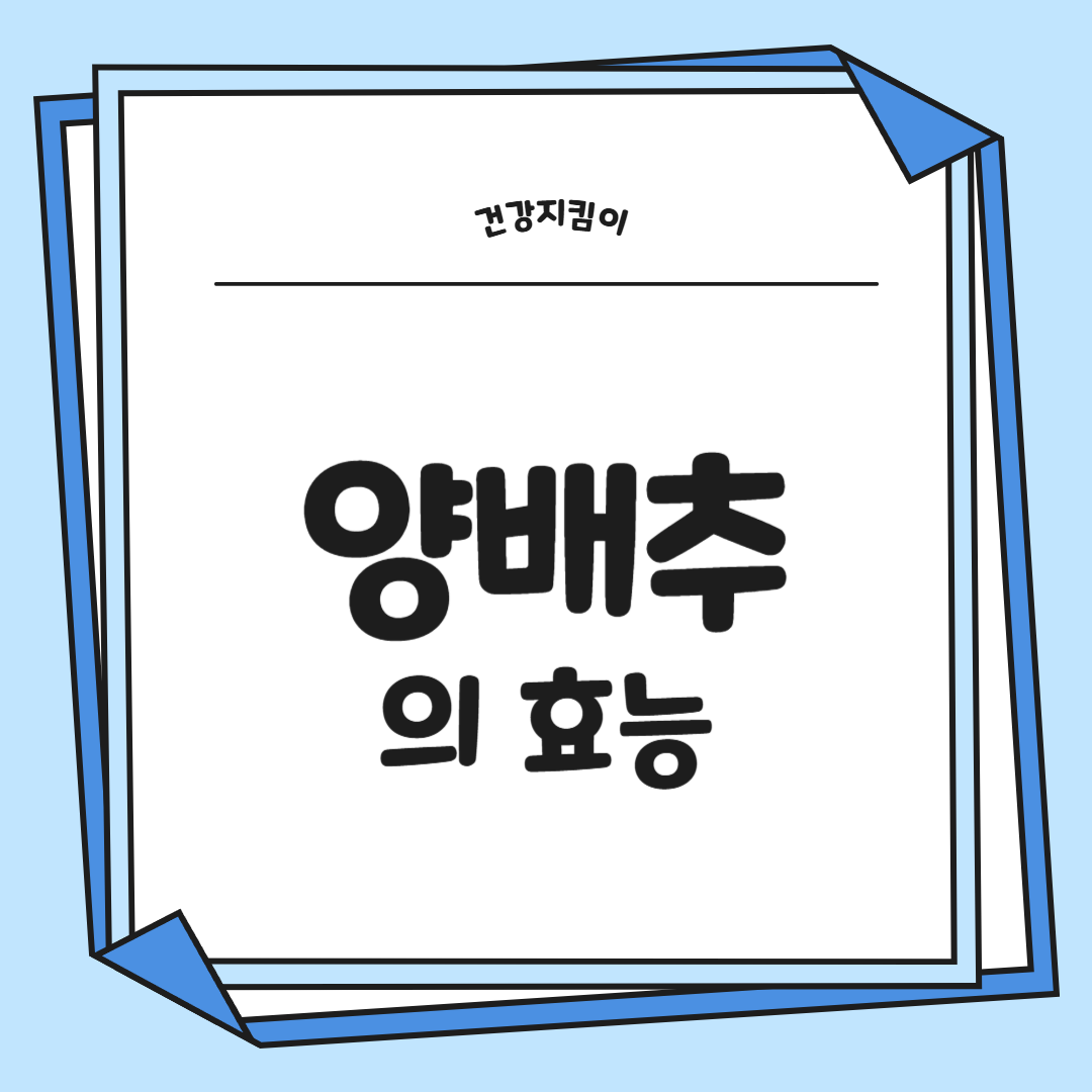 양배추 효능과 부작용 칼로리