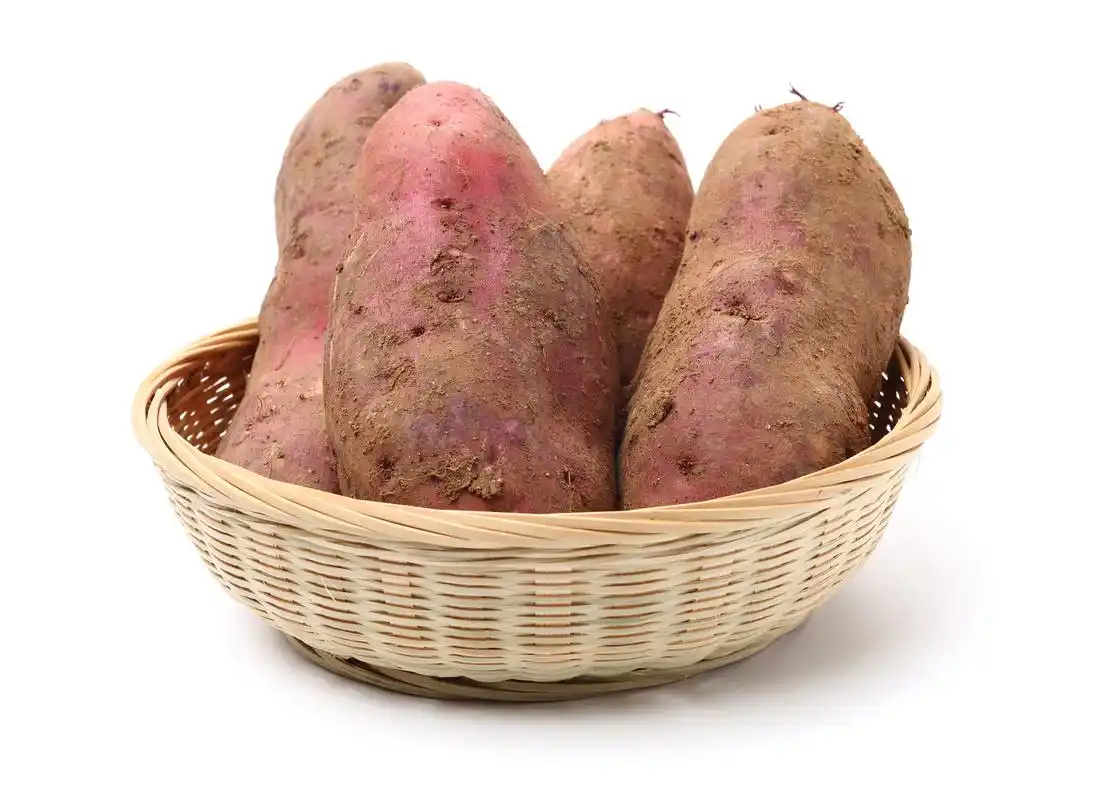 고구마 효능