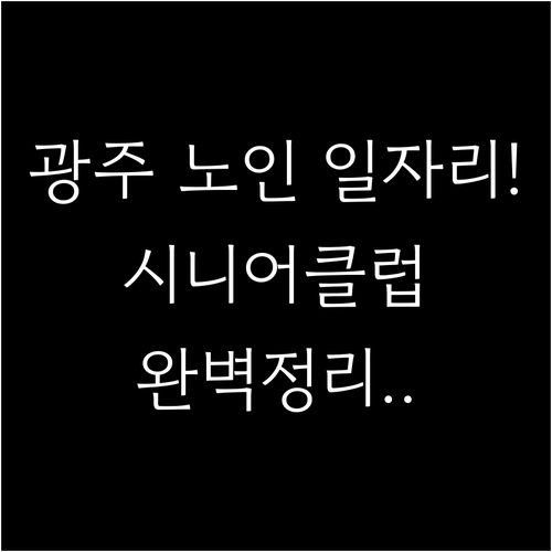 광주 시니어클럽 공익활동 사회서비스형..