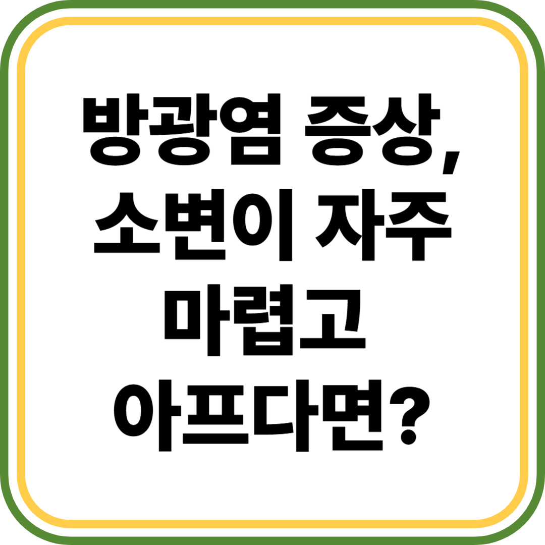 방광염 증상