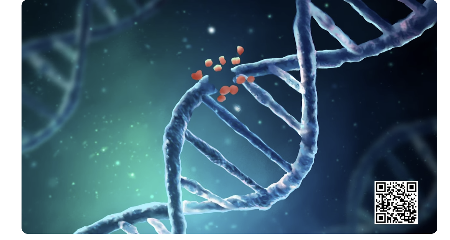 나노플라스틱의 유전자 변형 초래