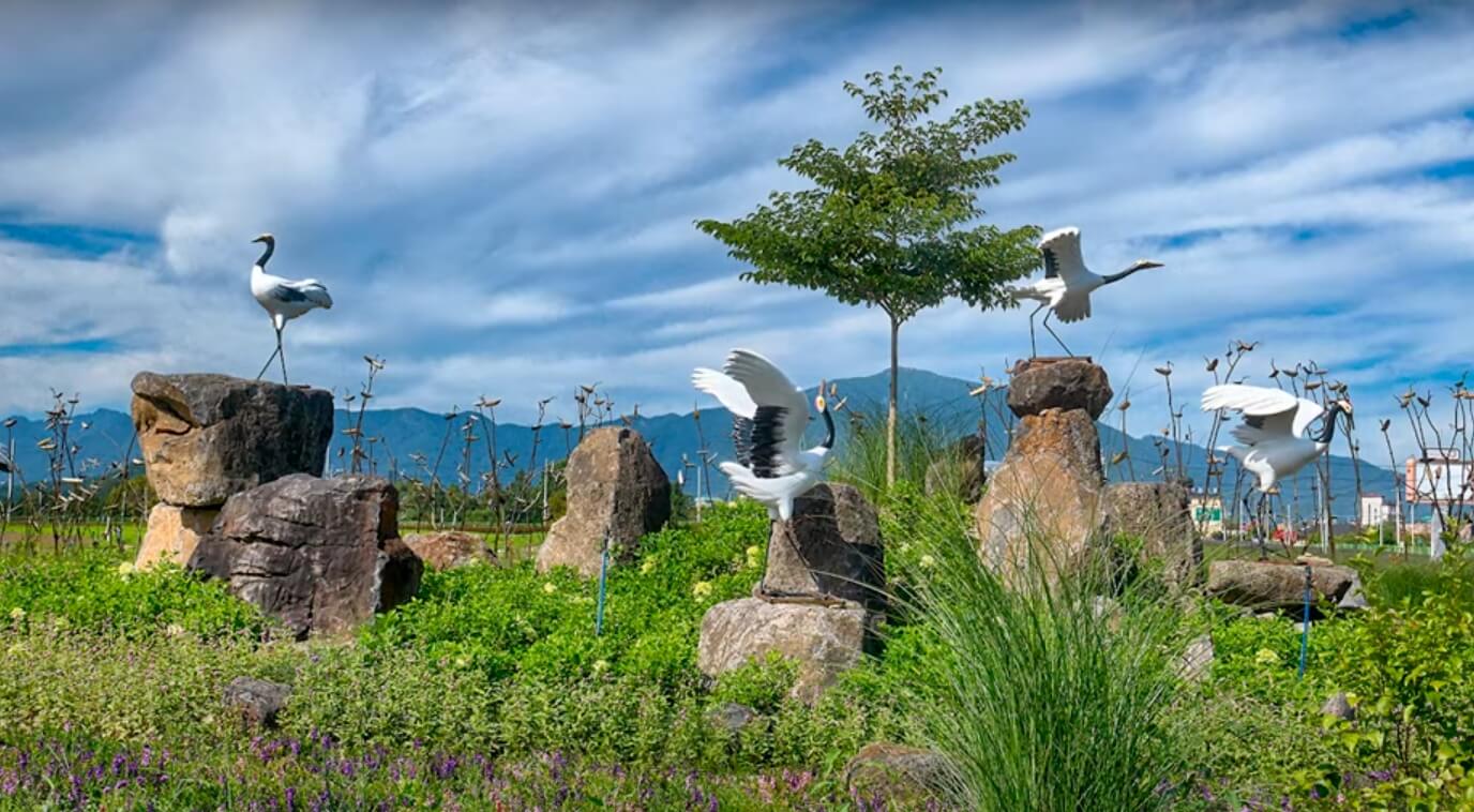 가을 하늘과 철원 고석정 꽃밭