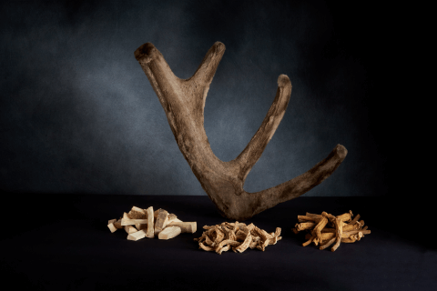 무릎 관절에 좋은 약초