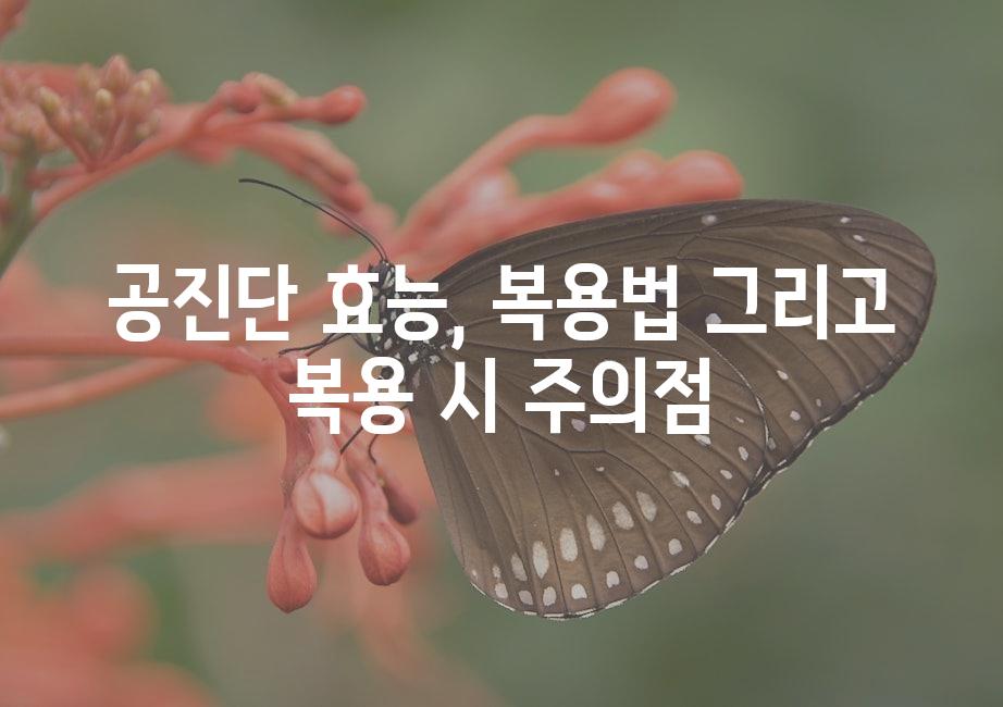 샘플 (51)