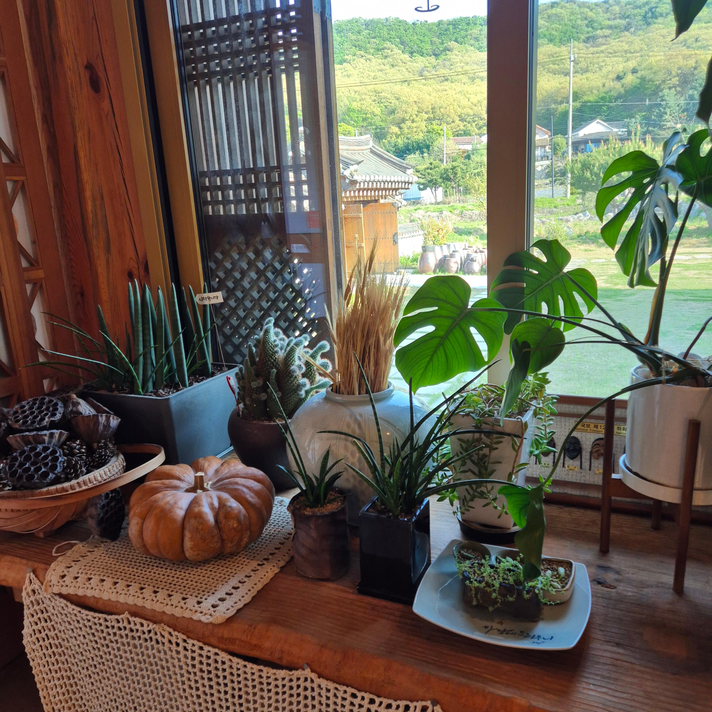 드리우니, 강화 카페 드리우니, 카페 드리우니, 드리우니 카페, 까페 드리우니, 드리우니 까페, 강화 까페 드리우니, 강화도 카페 드리우니, 강화도 까페 드리우니, 강화도 드리우니 까페, 강화도 드리우니 카페