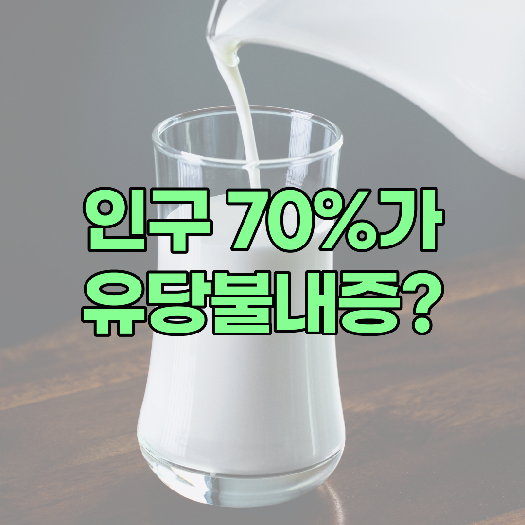 유당불내증