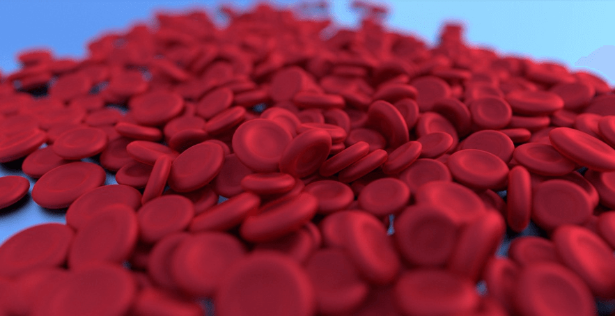 두유 효능은 동맥경화 예방에 도움이 된다. 현미경으로 확대한 적혈구의 모습