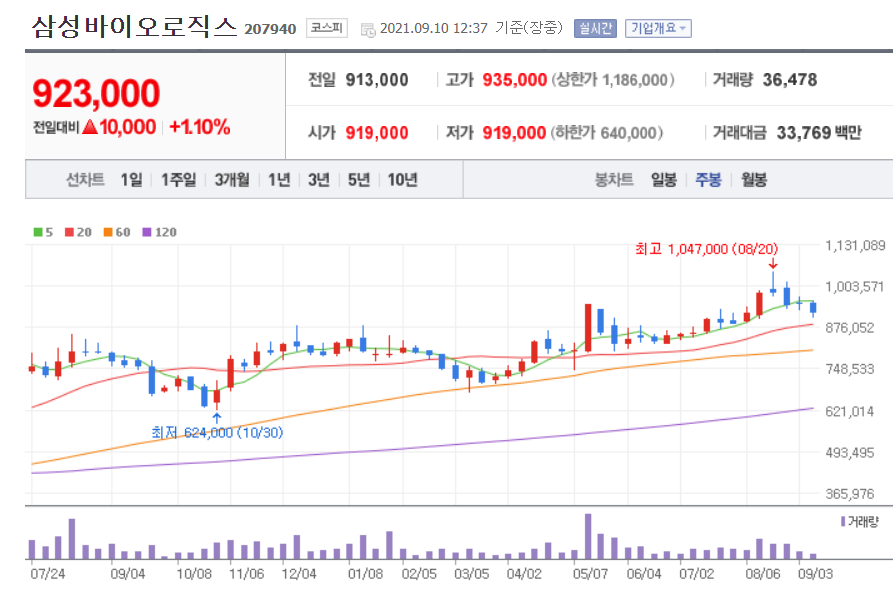 모더나 관련주 대장주