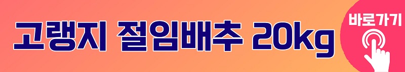강원도 고랭지 절임배추 20kg 가격