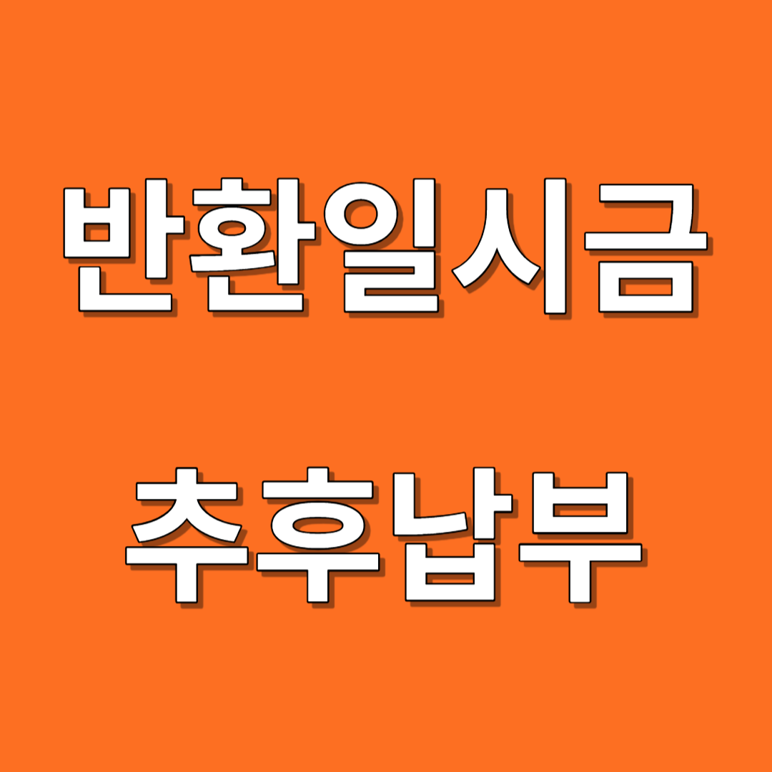 반환일시금 소멸시효 추후납부