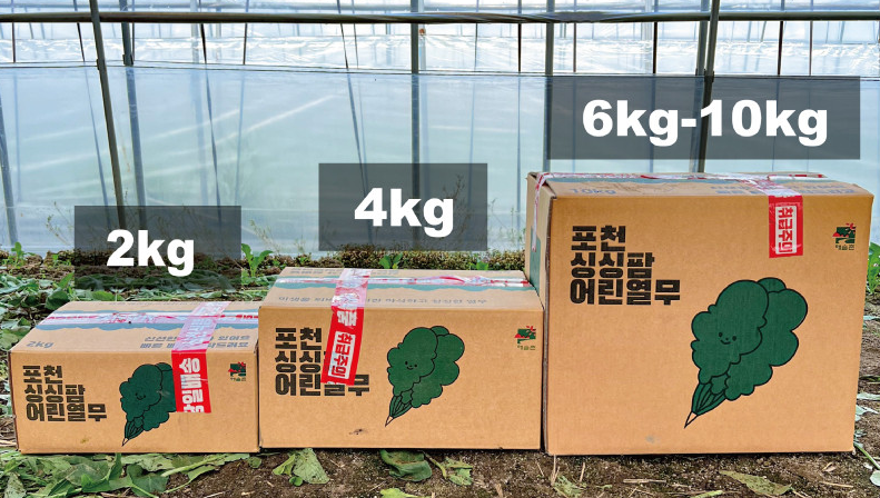 포천 싱싱팜 열무 얼갈이 주문 방법