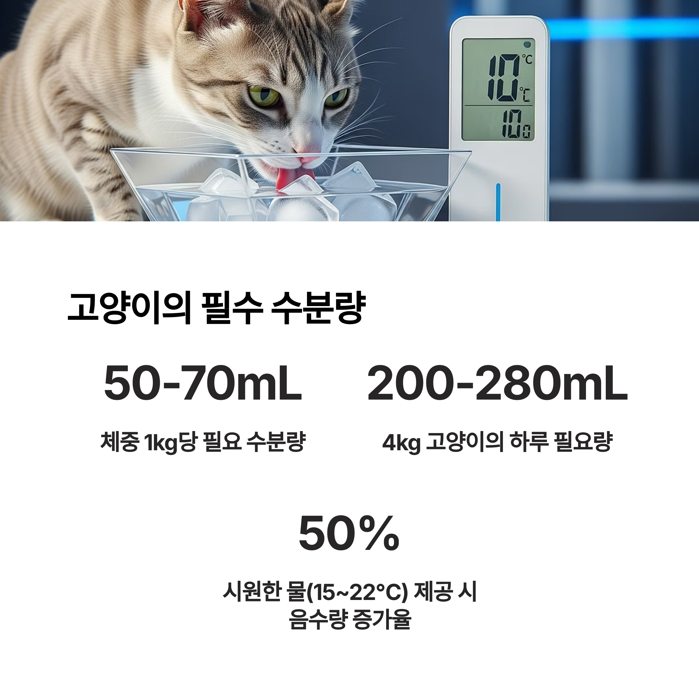 고양이의 필수 수분량