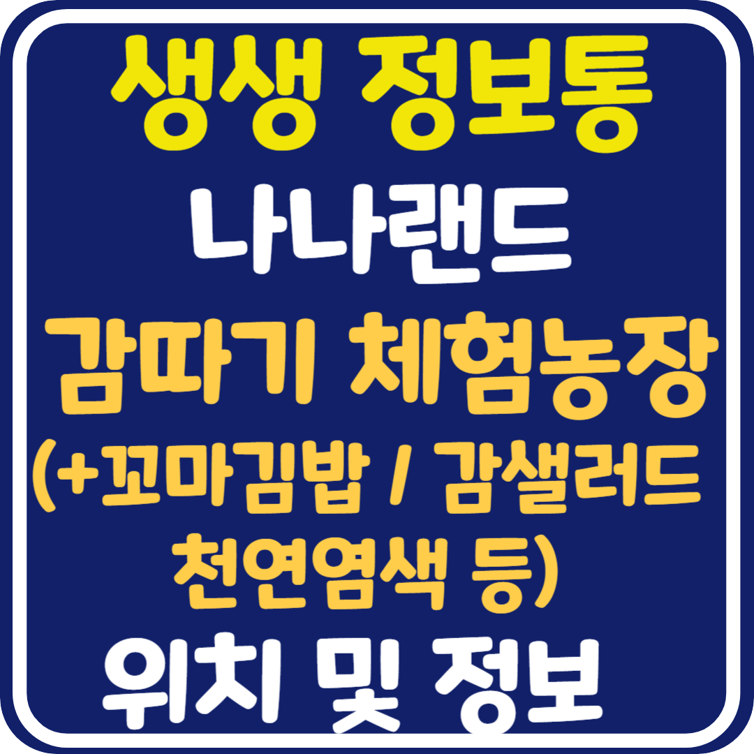 생생 정보통 해남 감따기 체험농장 정보 안내 : 나나랜드