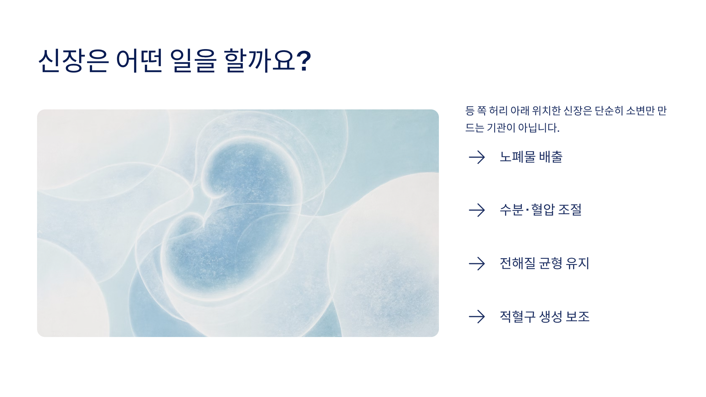신장이 안좋으면 나타나는 증상