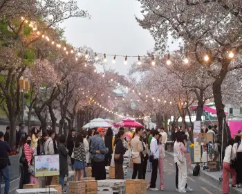 경주벚꽃축제_15