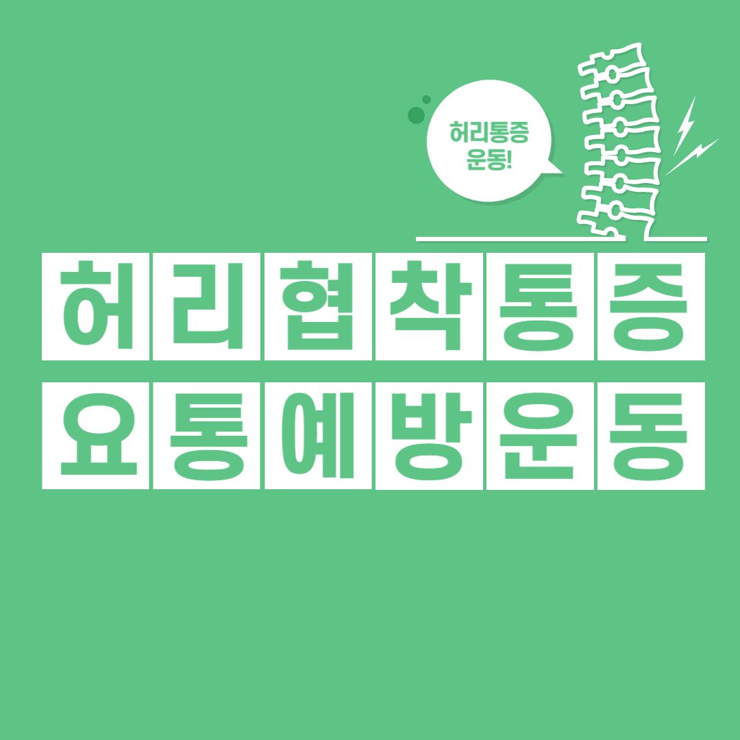 허리 협착 , 요통 치료 운동 방법(허리 통증에 좋은 운동)