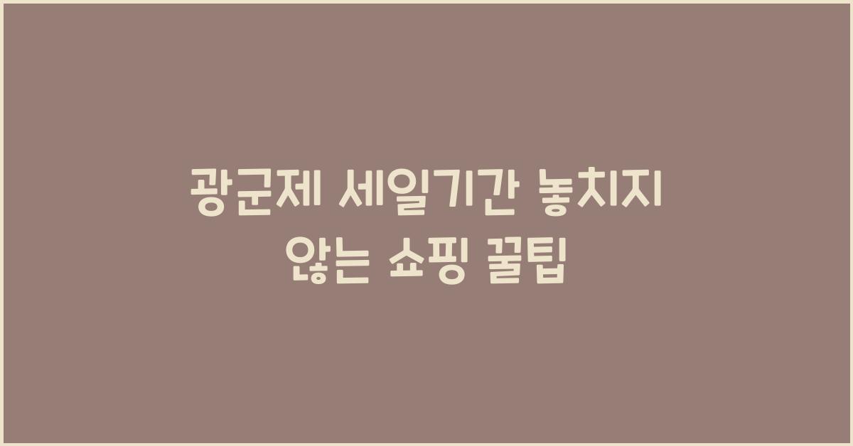 광군제 세일기간