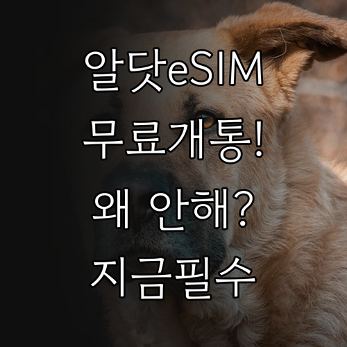 알닷 eSIM 무료 개통, 왜 아직 ..