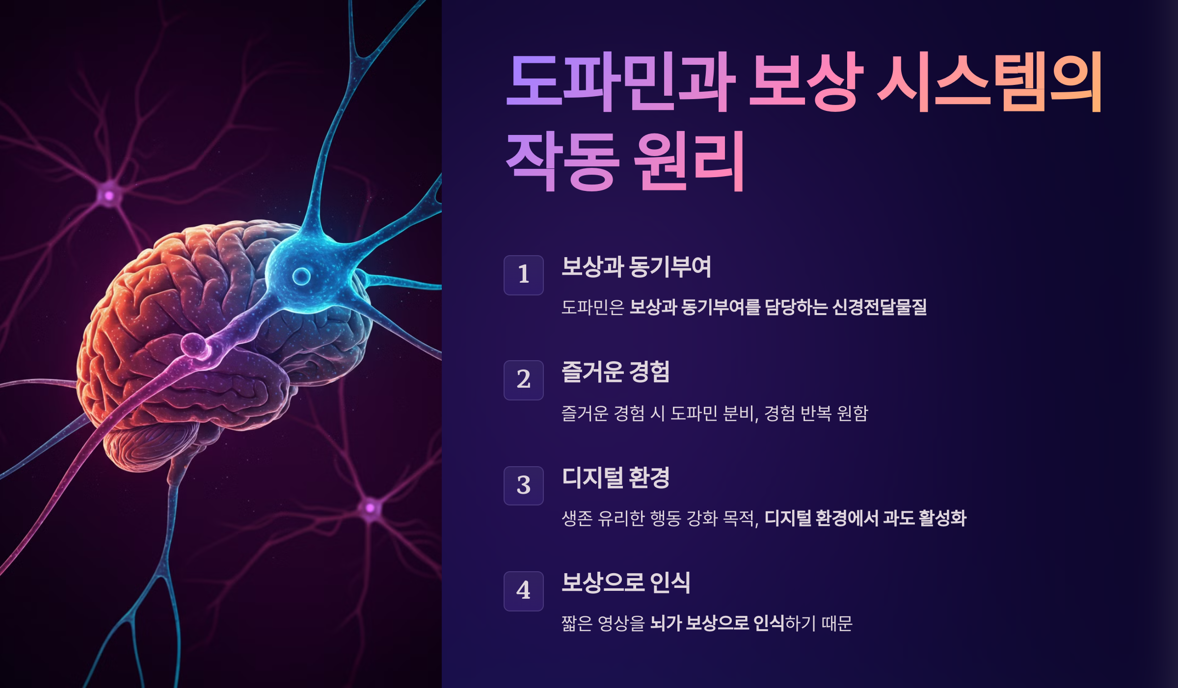 도파민과 보상 시스템의 작동 원리