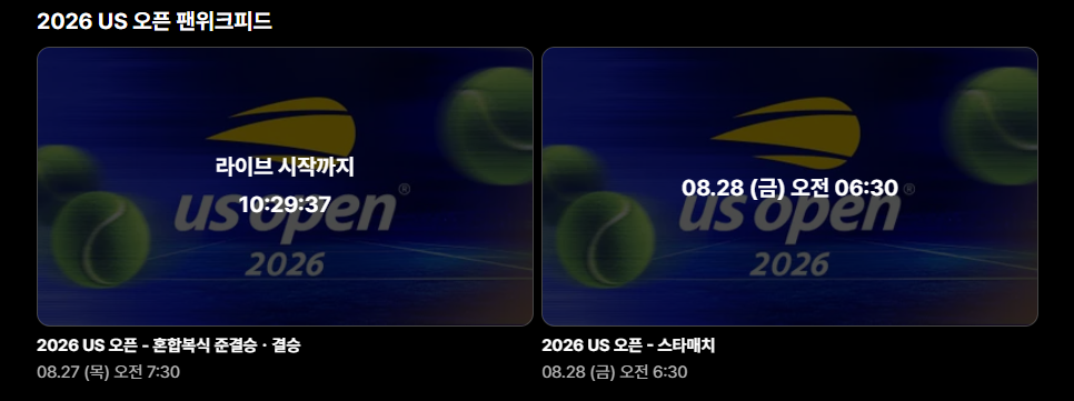 US 오픈 테니스