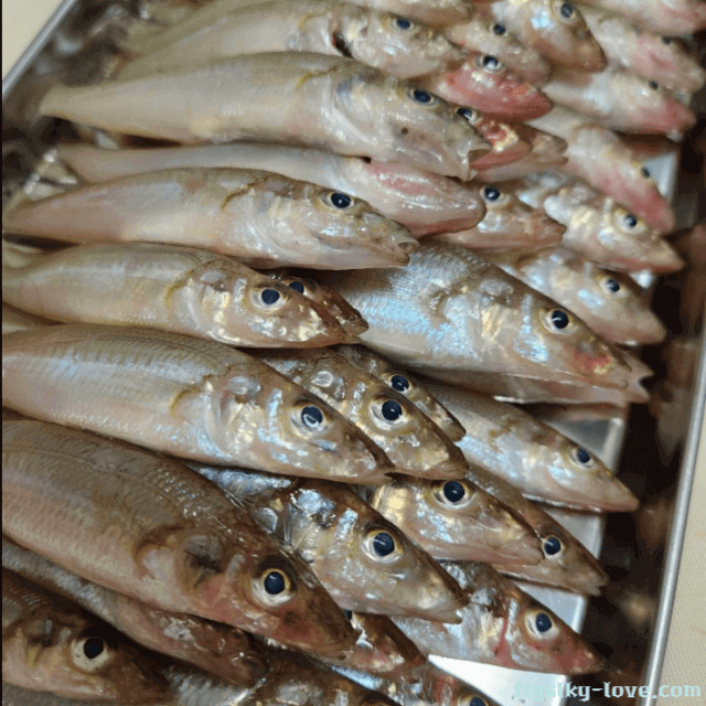 뼈째 먹는 보리멸