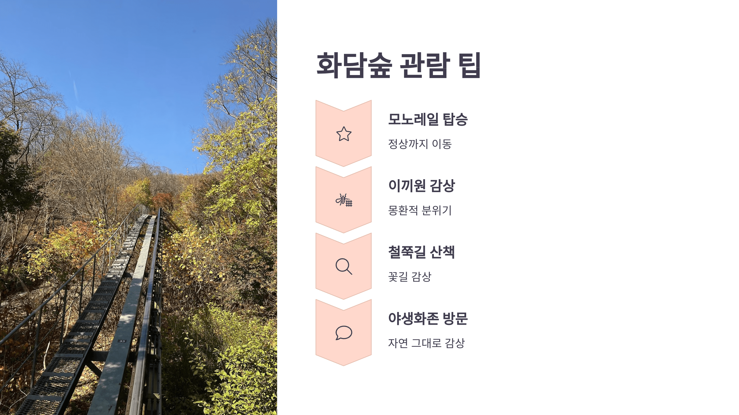 화담숲 관람팁 이미지