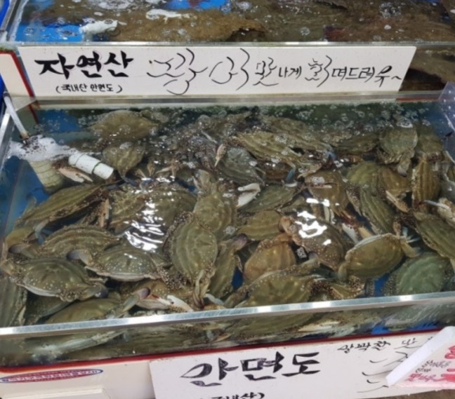 생생정보-자연산-대하-태안