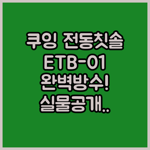 쿠잉 음파전동칫솔 ETB-01 상세 ..