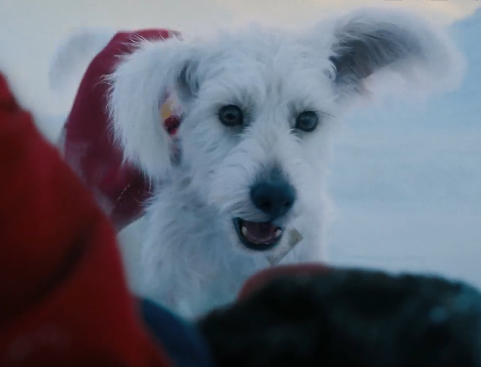 영화 슈퍼맨 2025