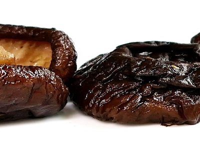 표고버섯 효능 사진16