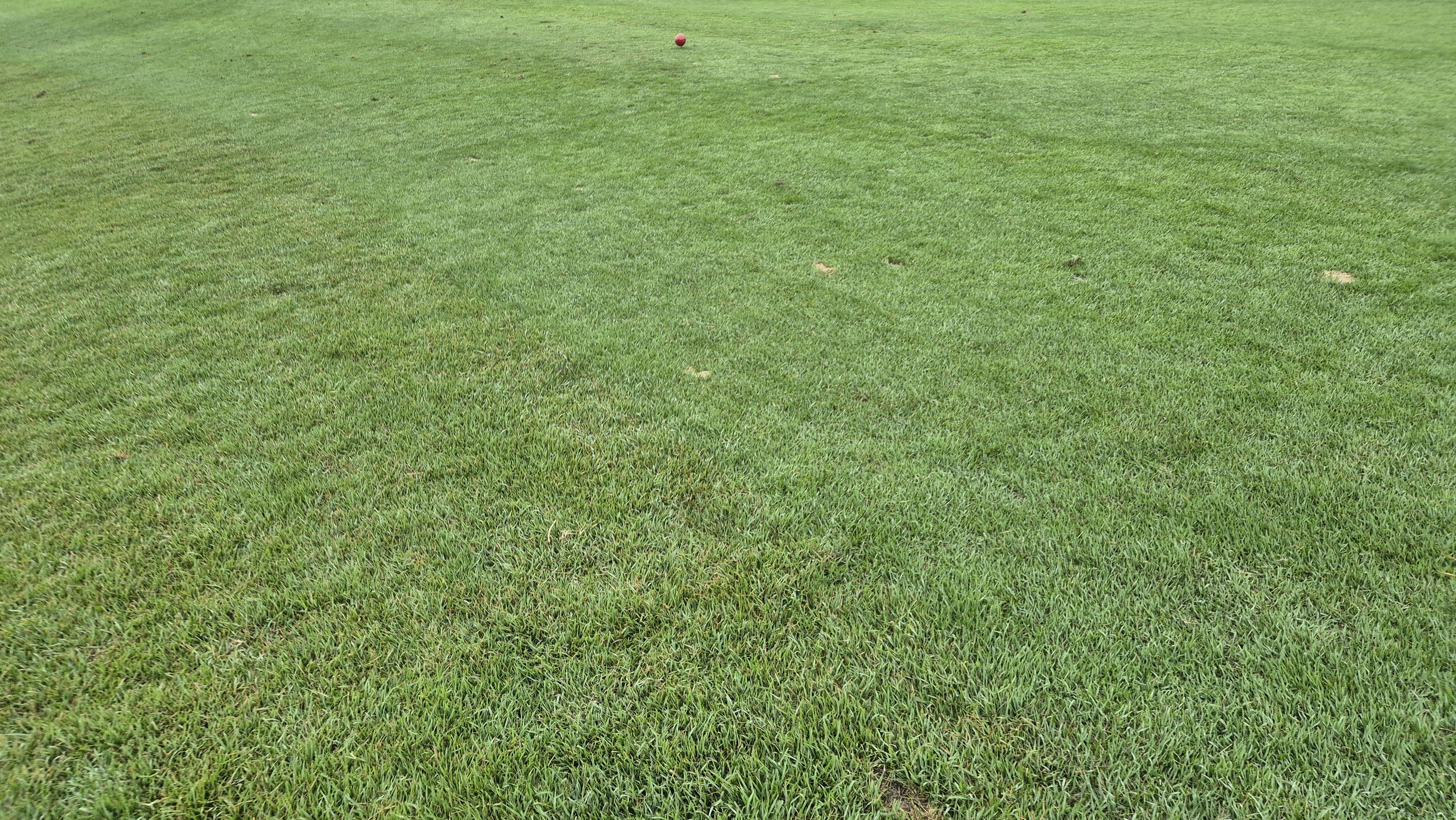 한림용인cc 다이아몬드-사파이어 코스 라운드 후기