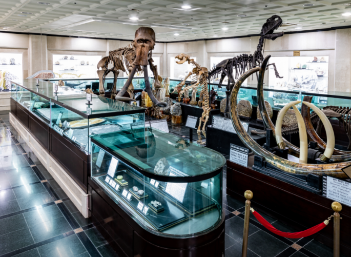 생방송투데이 이유있는성지순례 강원도삼척 강원종합박물관