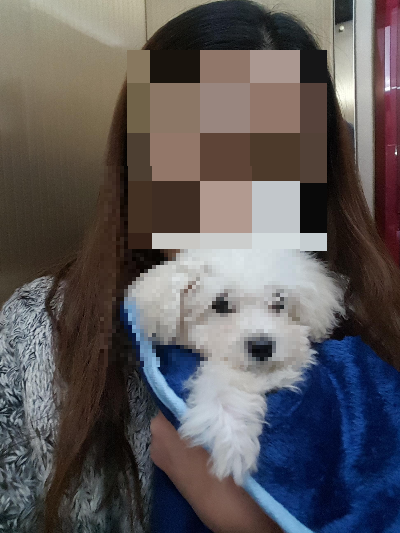 강아지 사료 고르는 방법, 처음이라면 확인할 것들