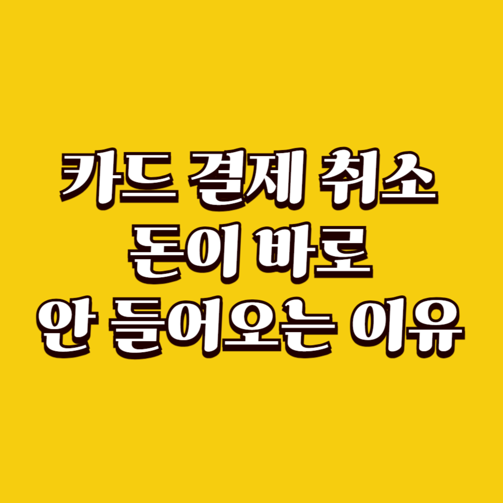 카드 결제 취소했는데 돈이 바로 안 들어오는 이유