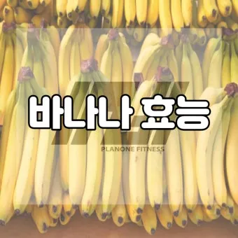바나나 효능 식이섬유 포만감 운동 전후 효과_6