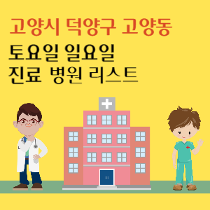 고양시 덕양구 고양동 토요일 일요일 진료 병원 리스트