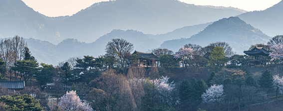 레일크루즈 해랑열차 효도관광 동부권 1박 2일 코스